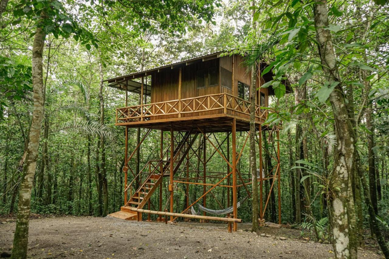 Tree Houses Hotel Costa Rica Florencia Exteriör bild