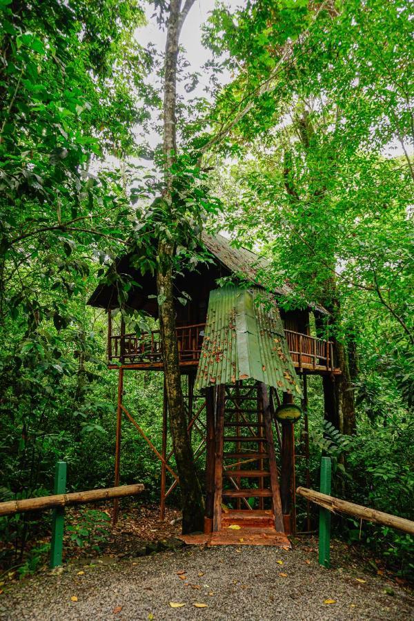 Tree Houses Hotel Costa Rica Florencia Exteriör bild