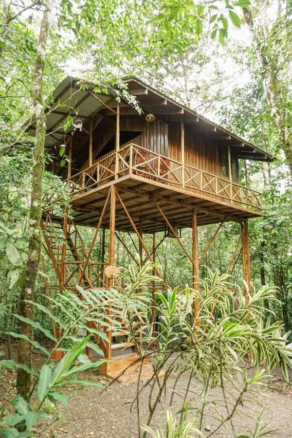 Tree Houses Hotel Costa Rica Florencia Exteriör bild