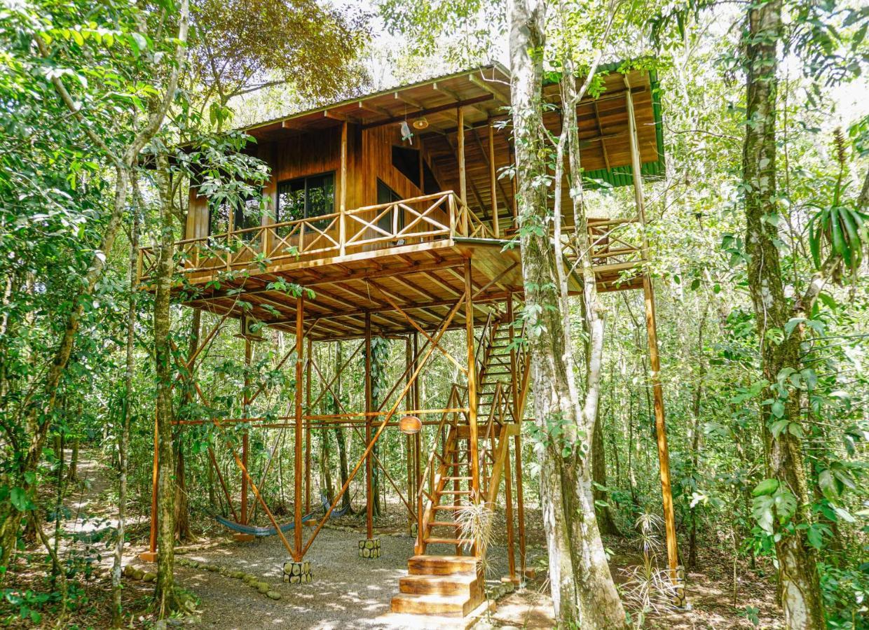Tree Houses Hotel Costa Rica Florencia Exteriör bild