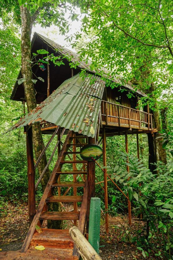 Tree Houses Hotel Costa Rica Florencia Exteriör bild