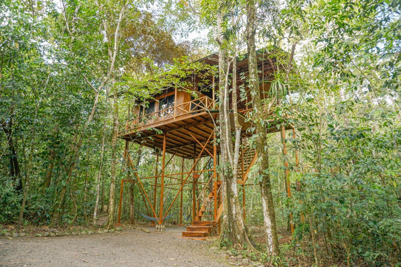 Tree Houses Hotel Costa Rica Florencia Exteriör bild