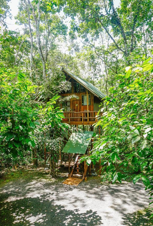 Tree Houses Hotel Costa Rica Florencia Exteriör bild