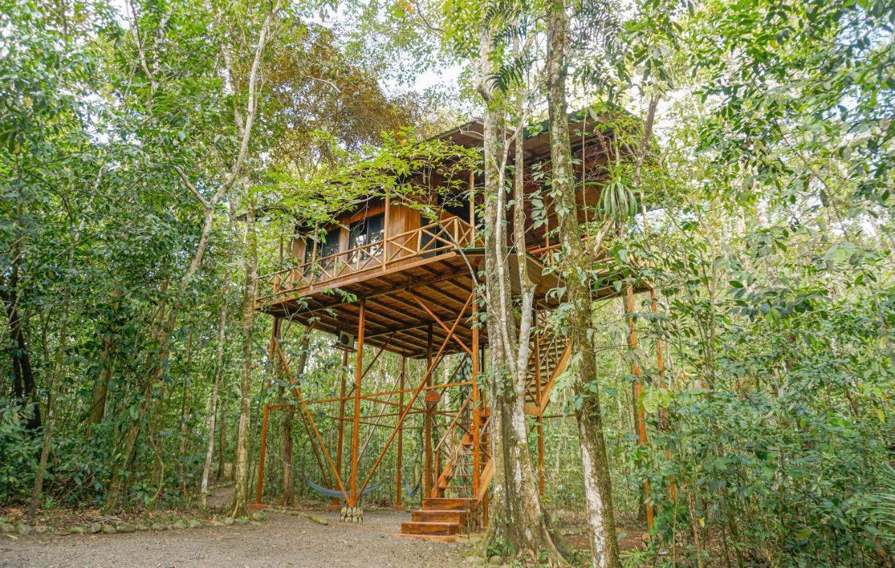 Tree Houses Hotel Costa Rica Florencia Exteriör bild