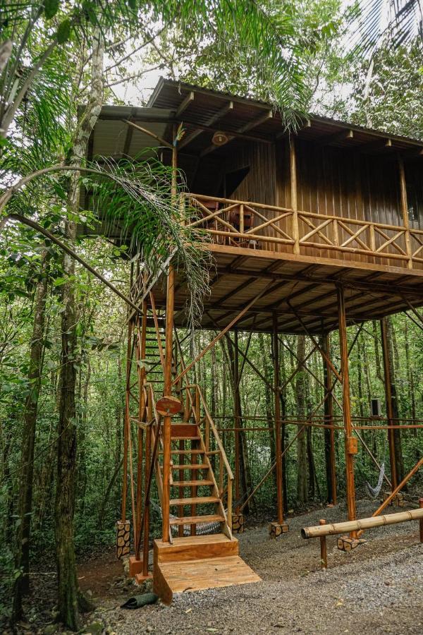 Tree Houses Hotel Costa Rica Florencia Exteriör bild