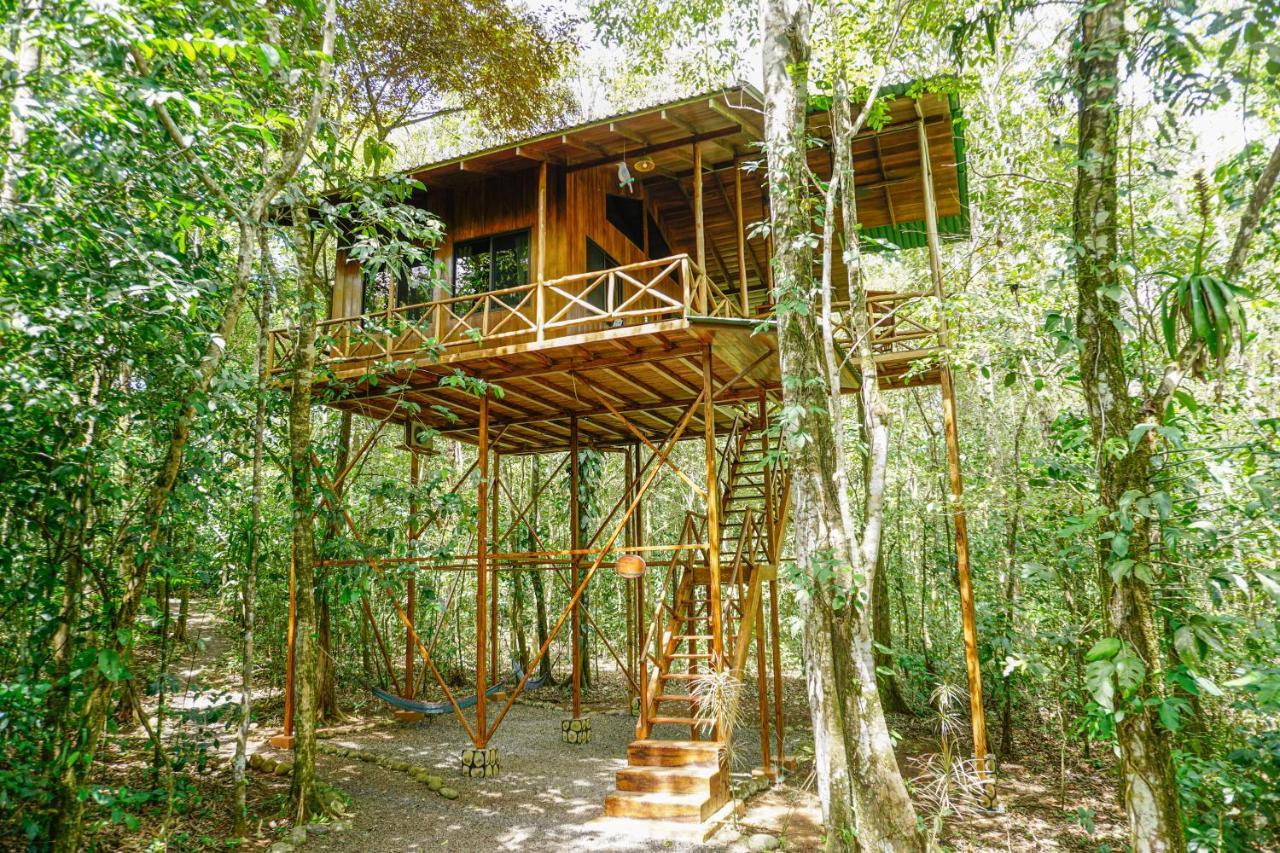 Tree Houses Hotel Costa Rica Florencia Exteriör bild