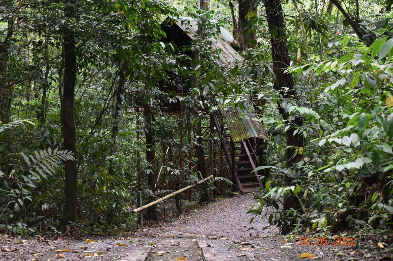 Tree Houses Hotel Costa Rica Florencia Exteriör bild