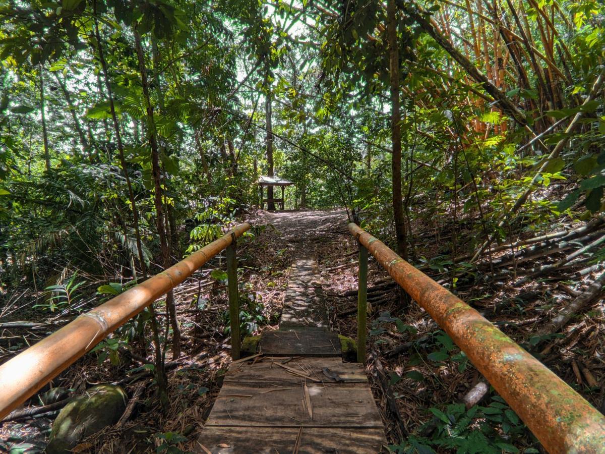 Tree Houses Hotel Costa Rica Florencia Exteriör bild