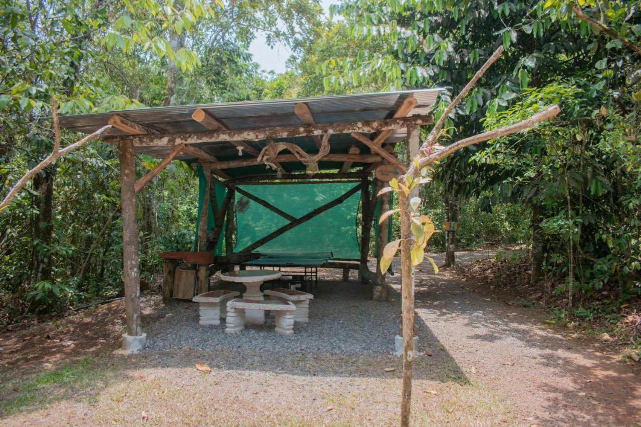 Tree Houses Hotel Costa Rica Florencia Exteriör bild